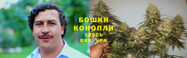 гидропоника Балахна