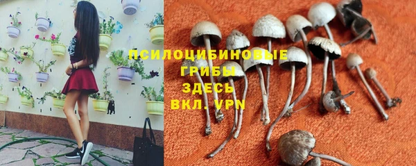 гидропоника Балахна