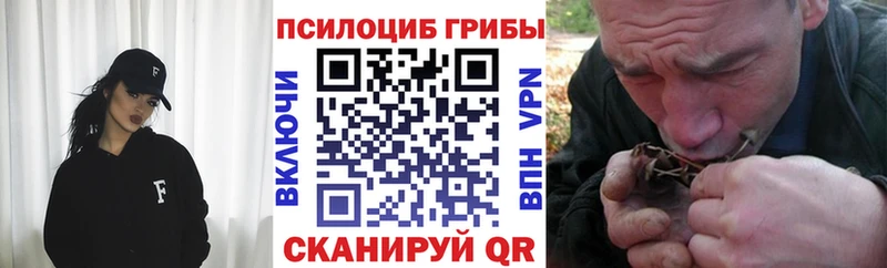 блэк спрут ONION  Ясный  Псилоцибиновые грибы прущие грибы 